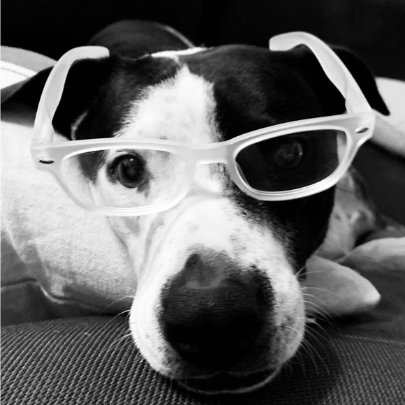 Meet your Posher, Pamela - Picture 1 of 1